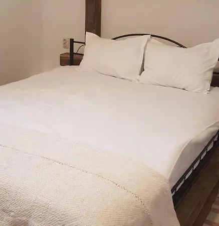 Muma Codrului Locanda Vascau